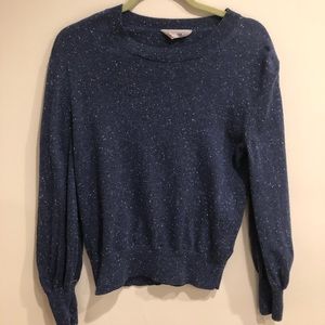 Everlane Speckled Navy Cashmere Lantern Sweater